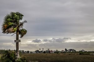 Read more about the article Hurricane Matthew Photos – Around our houses