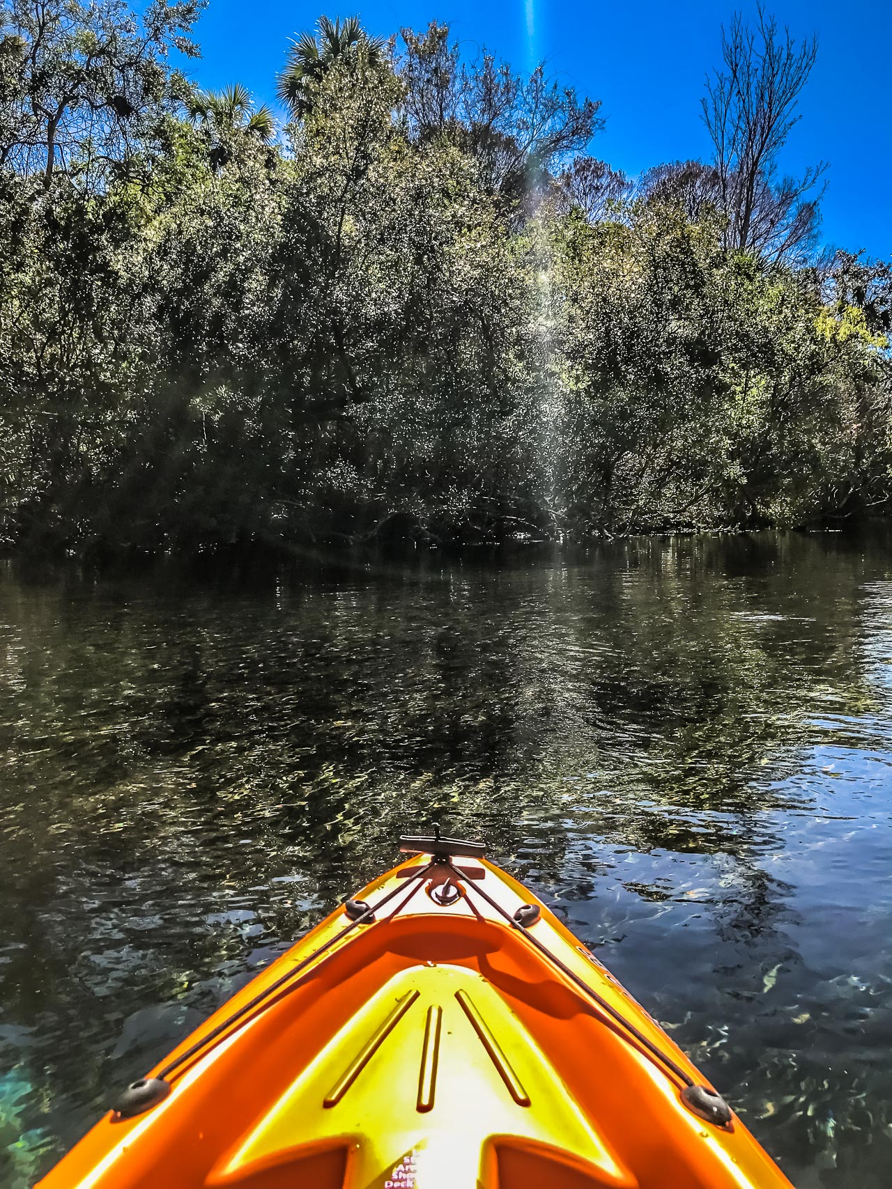 weeki wachee river