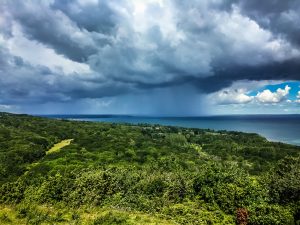 Read more about the article A video about being a property owner in Florida during hurricane season