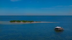 Read more about the article Florida Stilt Houses