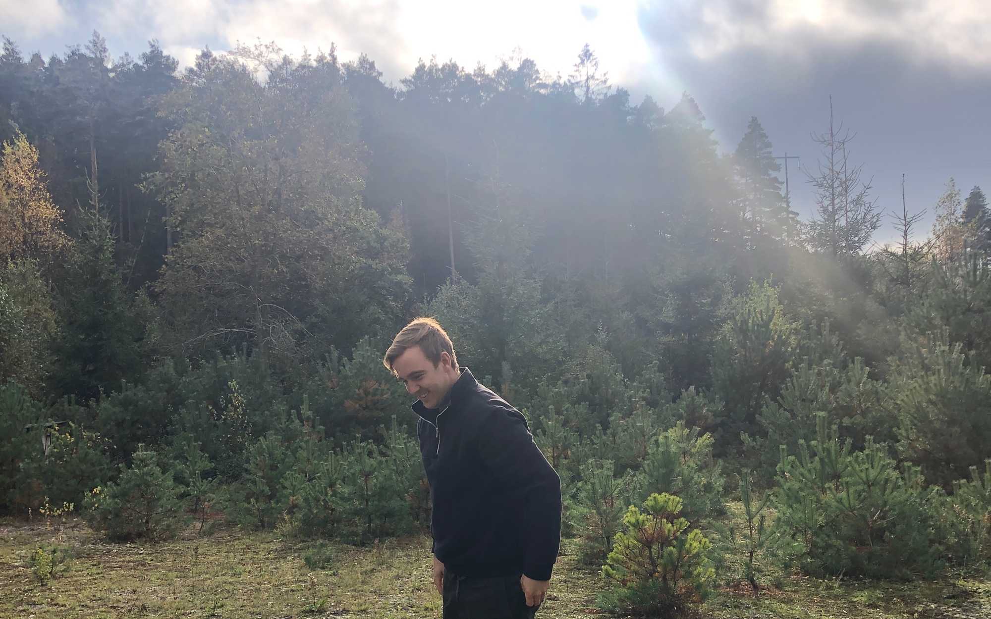 Read more about the article I wanted to buy forest but didn’t get it